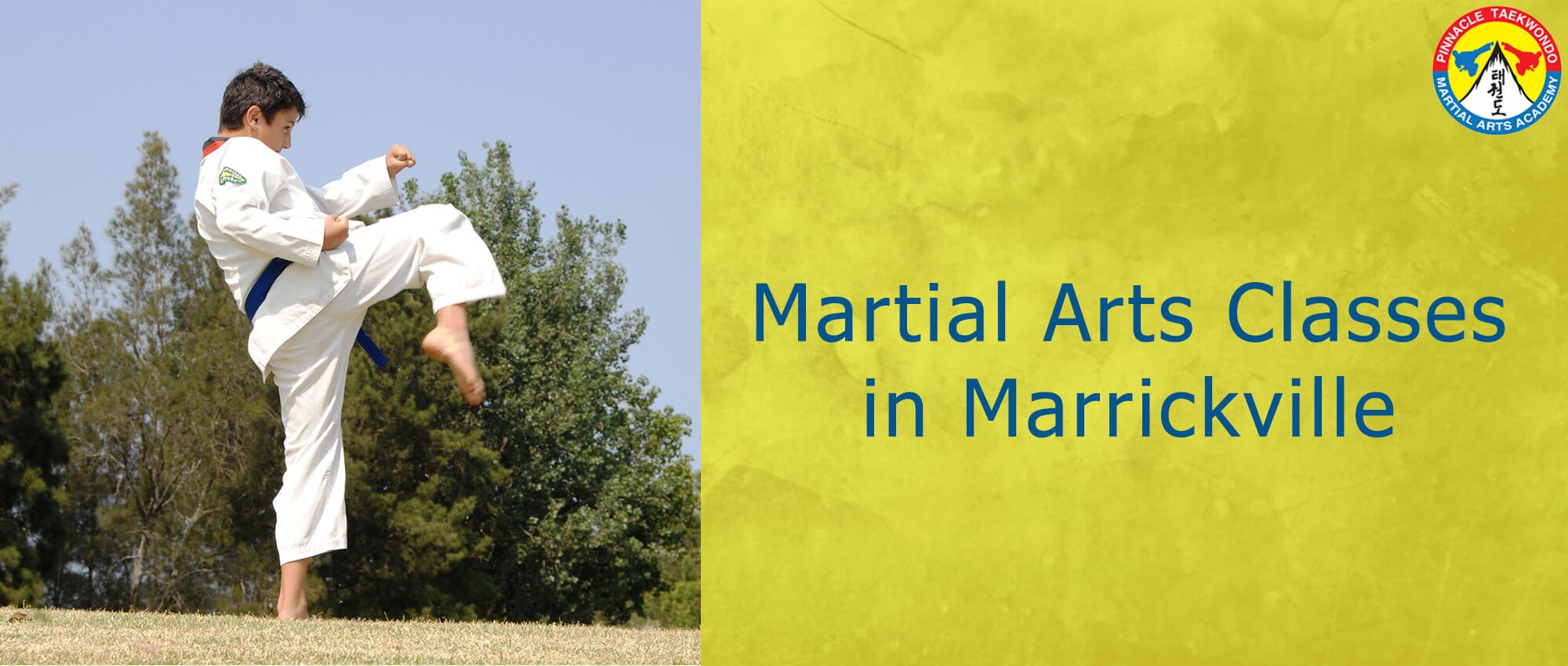 Martial Arts In Marrickville