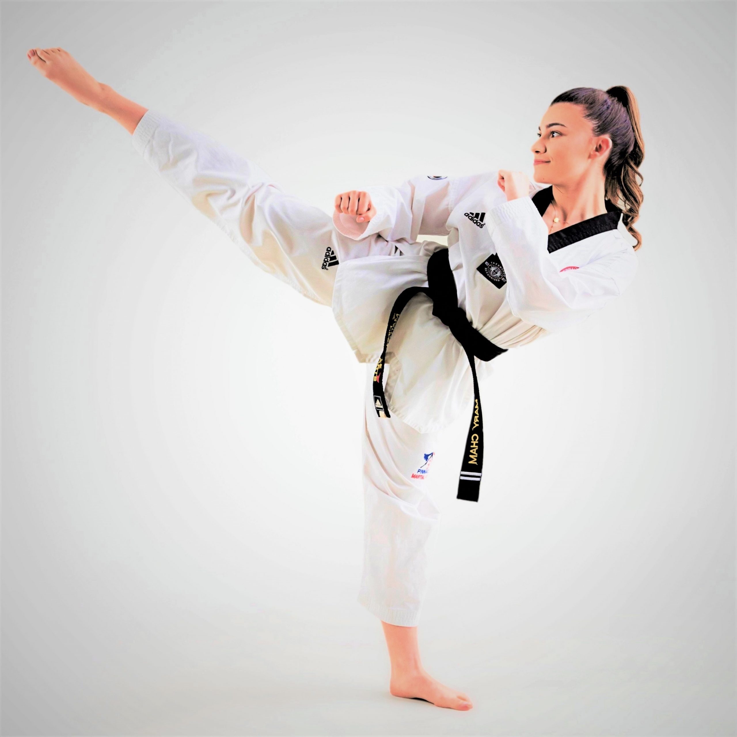 Pinnacle Taekwondo Martial Arts in Marrickville kids teens & adults, classes a top mix of Fitness, Martial Arts Self Defence, Taekwondo, Karate, Kung Fu & dynamic Martial Arts in Marrickville