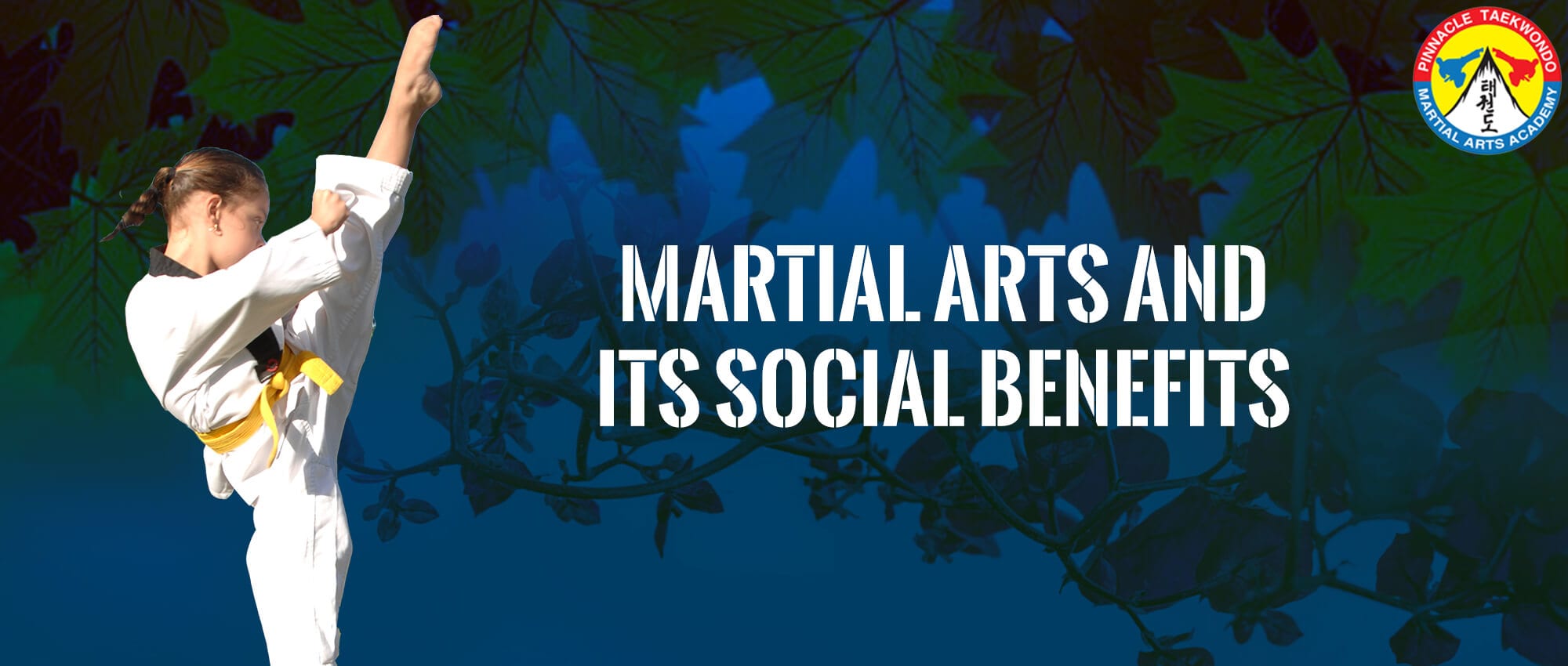 Martial-Arts-Marrickville