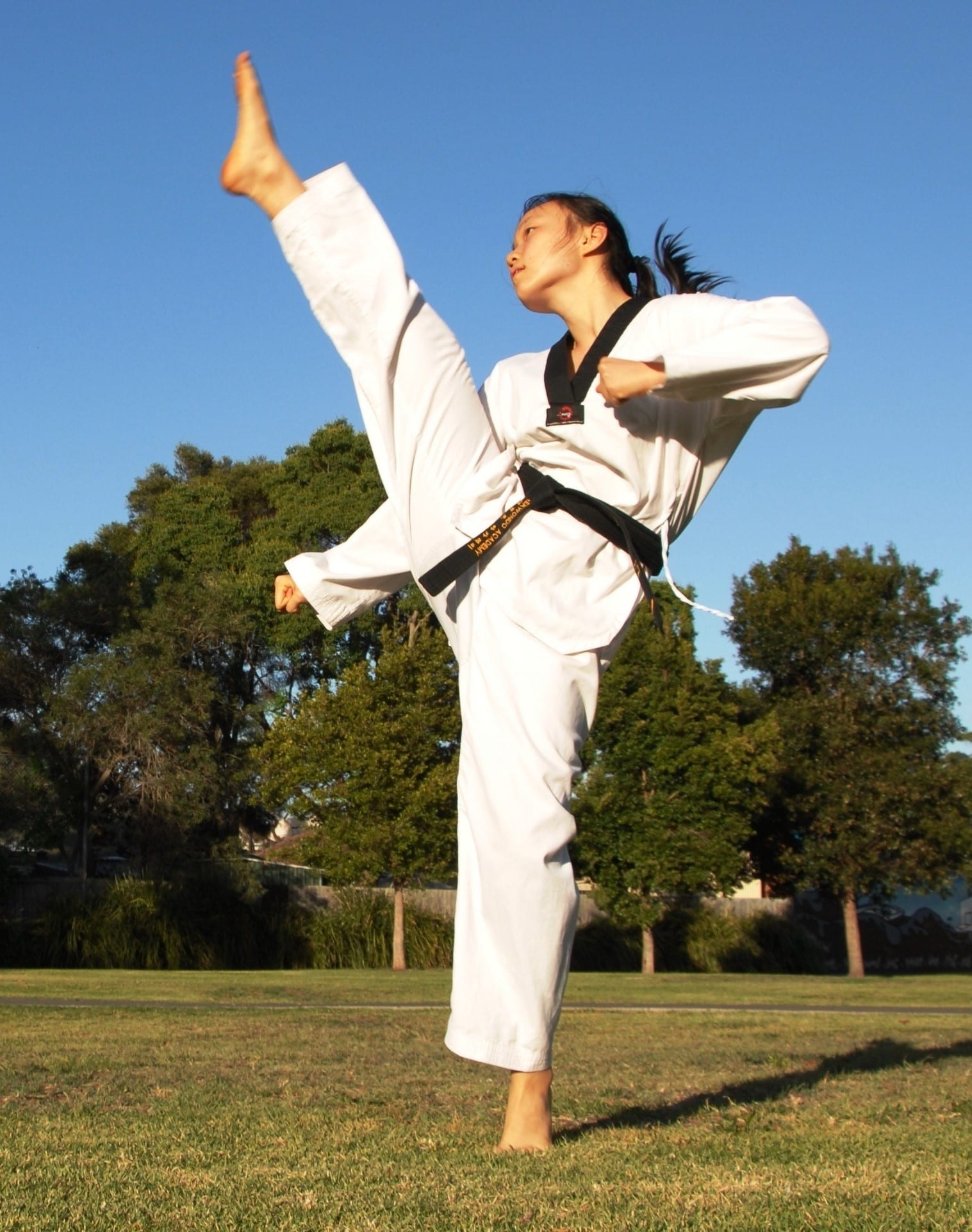 Kung Fu in Inner West Sydney for kids teens & adults of all ages & levels