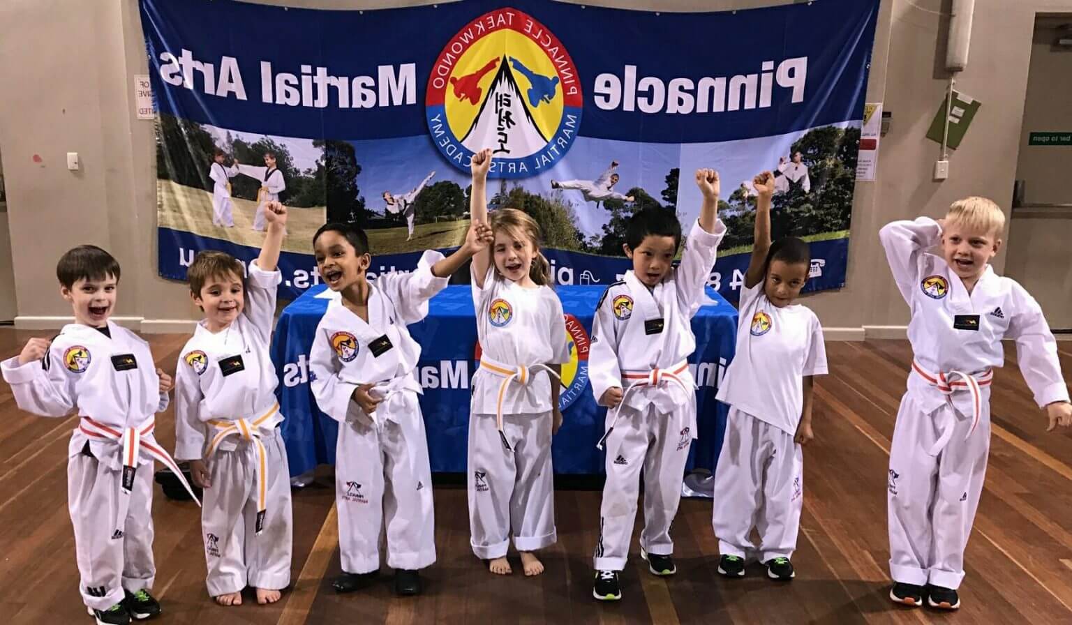 Kids Martial Arts at Pinnacle Martial Arts Self Defence in Marrickville Inner West and chester hill in Bankstown area in southwest Sydney