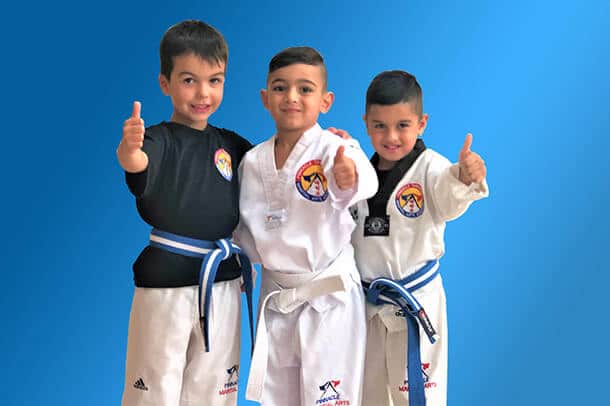 Mini Rangers at Pinnacle Martial Arts Self Defence in Marrickville Inner West , Caddens in Penrith area, Earlwood and chester hill in Bankstown area in southwest Sydney for kids teens and adults