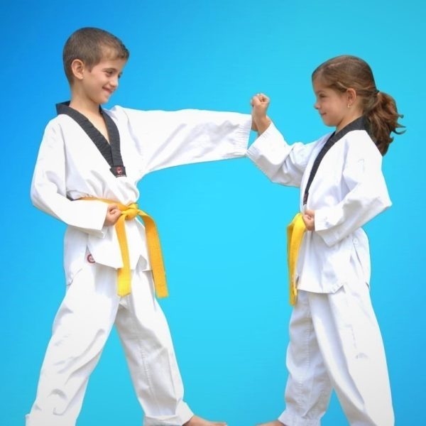 Pinnacle Taekwondo Martial Arts in Marrickville Inner West Sydney for kids teens & adults