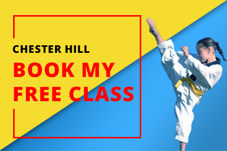 Free Trial Lesson Pinnacle Martial Arts in Chester Hill, Bankstown Area in South West Sydney for kids teens and adults