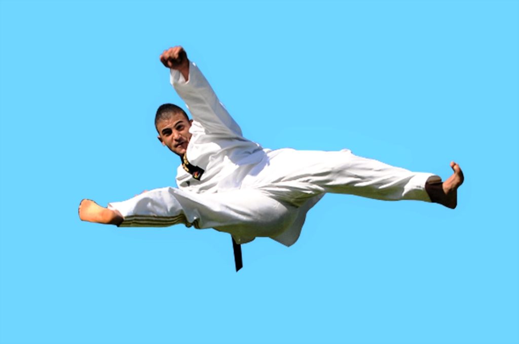 Martial Arts Earlwood for kids teens and adults of all levels