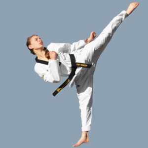 Martial Arts in Earlwood for kids teens and adults of all levels