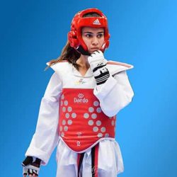 NSW Taekwondo Champain